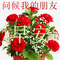 Allora Network是什么？Allora Network如何运作？其背后的发展愿景和目标是什么？