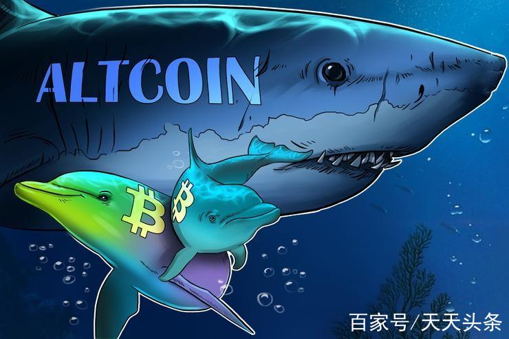 5000万美元OTC加密骗局，知名代币卷入，VC与鲸鱼真的无法幸免吗？