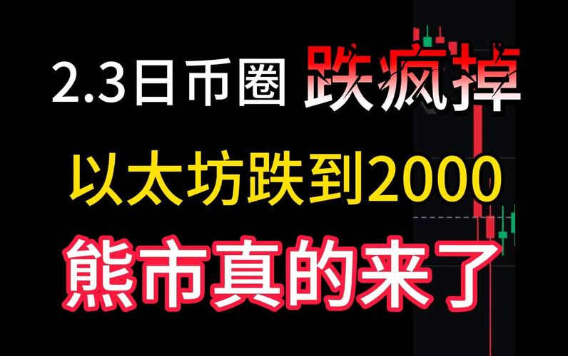 Odaily编辑部的投资操作记录：真的值得参考吗？